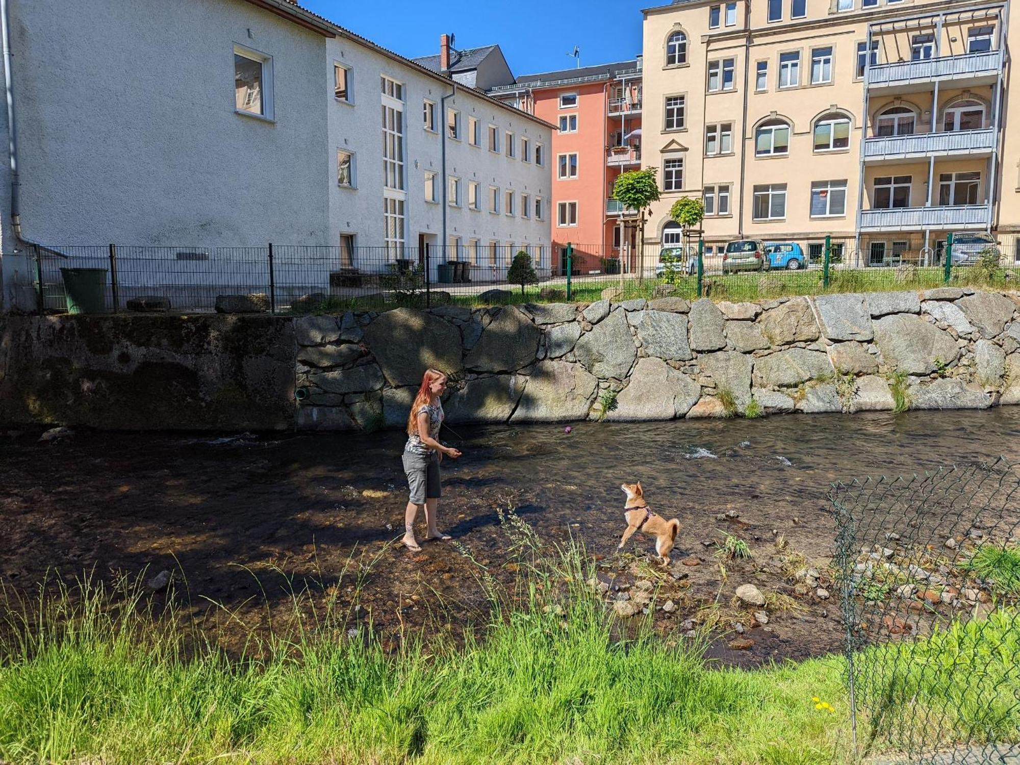 Famzi - Urlaubsmagie - Familienwohnung Mit Gemeinschaftsgarten, -Sauna & -Pool Зебниц Экстерьер фото